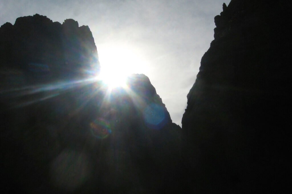 img 2972(2)