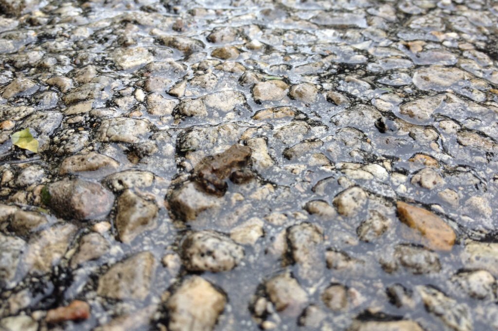 img 3844(2)