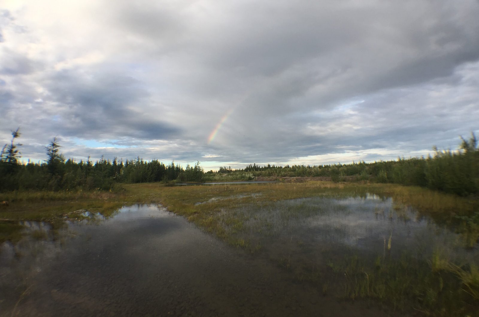 rainbow resized